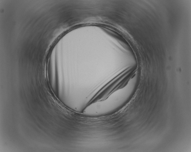X0000073541224200608211846