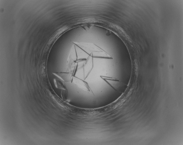 X0000073541225200608211846