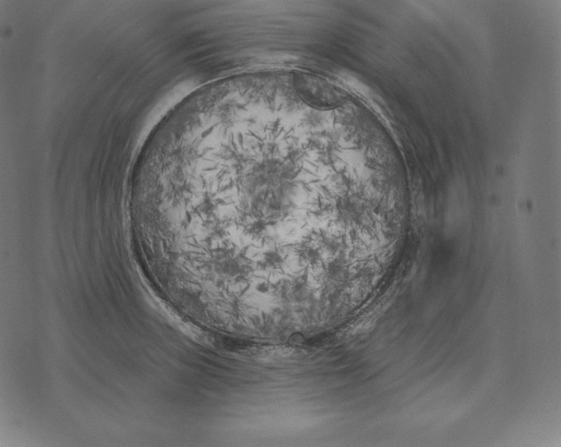 X0000073541235200608211847