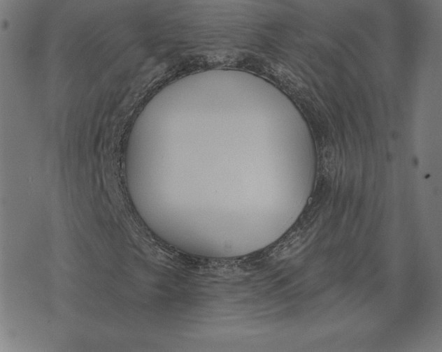 X0000073541249200608211846
