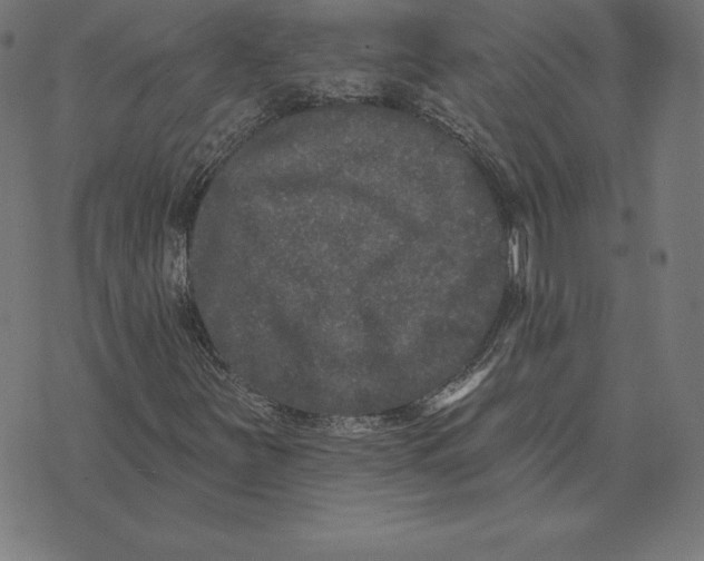 X0000073541251200608211846
