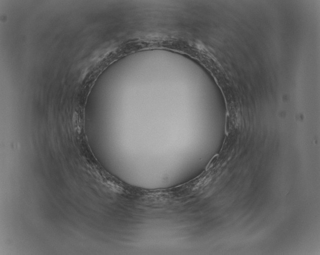X0000073541253200608211846