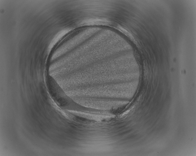 X0000073541277200608211846