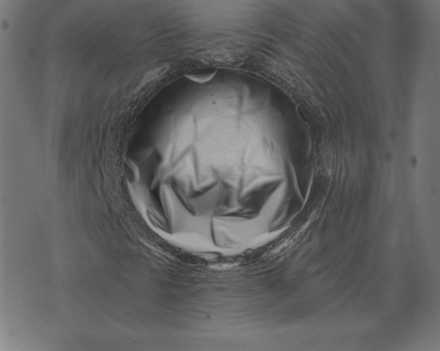 X0000073541297200608211844