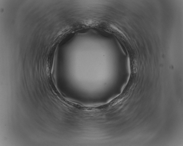 X0000073541298200608211844