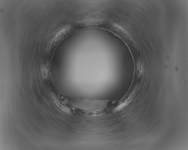 X0000073541300200608211845