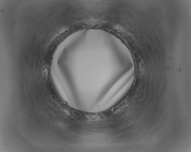 X0000073541302200608211845