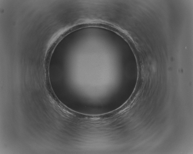 X0000073541319200608211845