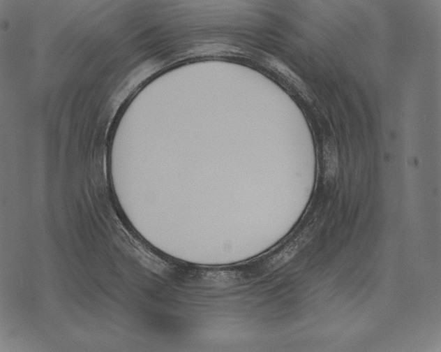 X0000073541322200608211845