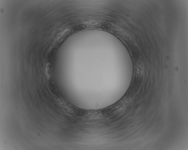 X0000073541346200608211844
