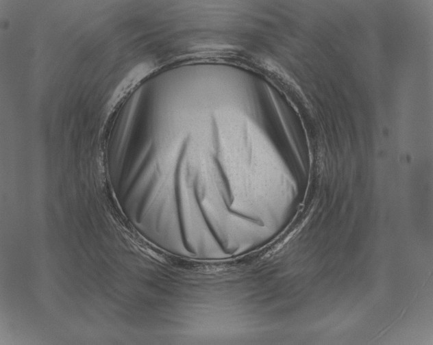X0000073541362200608211844