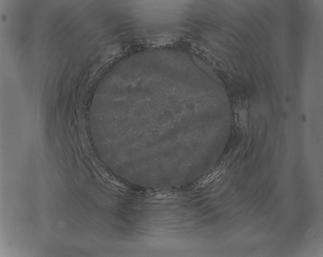 X0000073541393200608211843