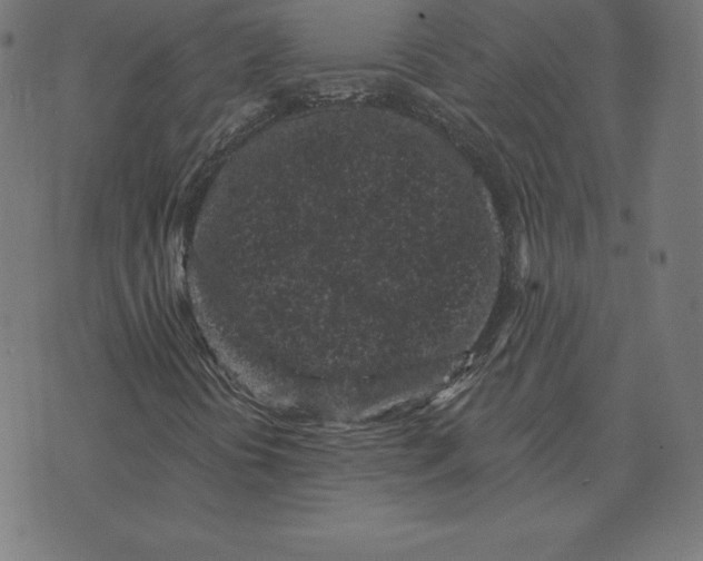 X0000073541394200608211843