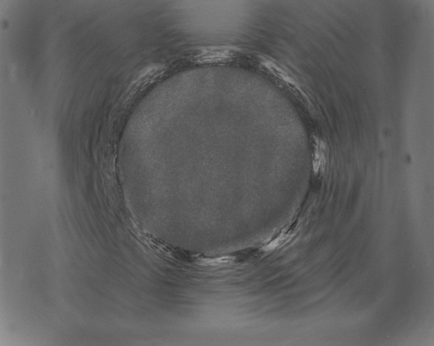 X0000073541441200608211843