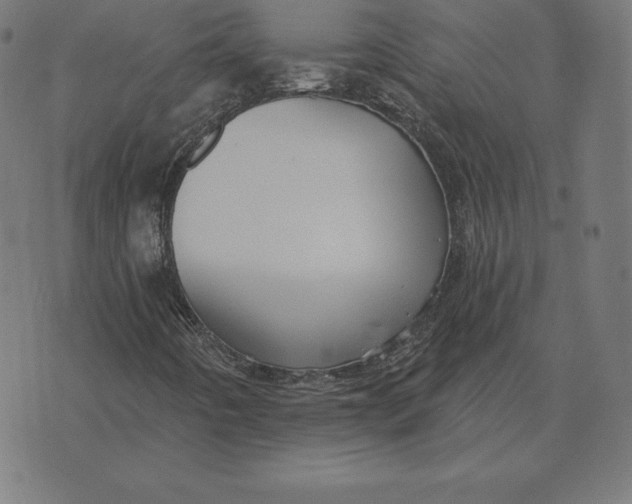 X0000073541442200608211843