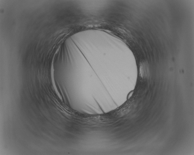 X0000073541444200608211843