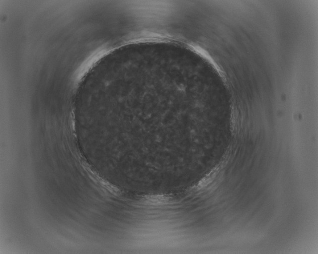X0000073541455200608211843