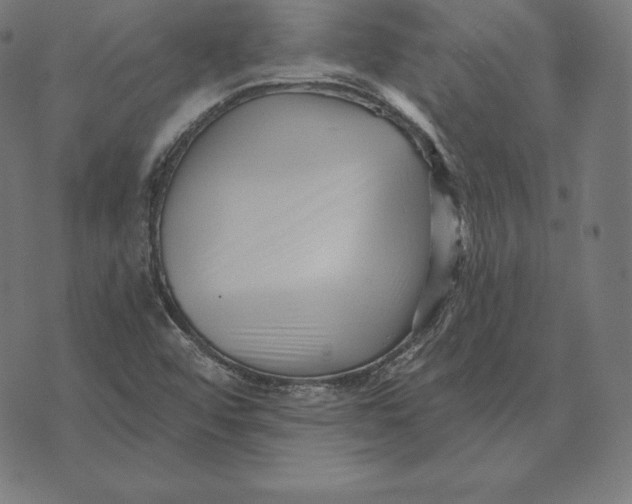 X0000073541456200608211843