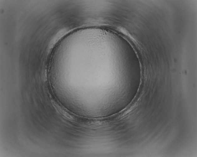 X0000073541459200608211843