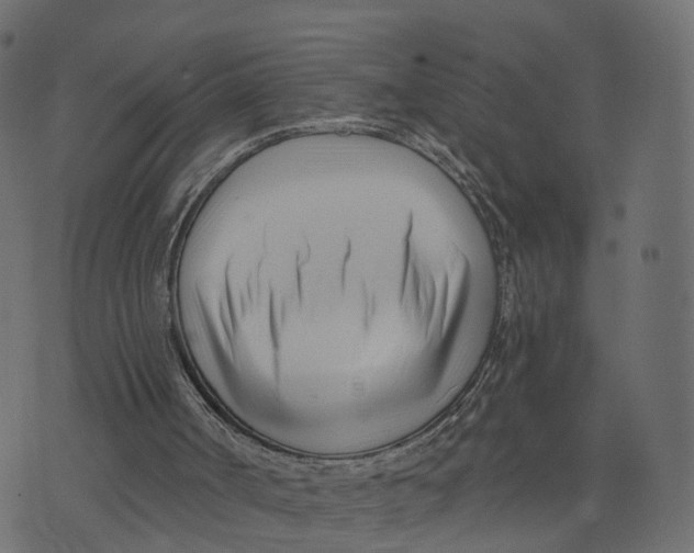 X0000073540002200608281628