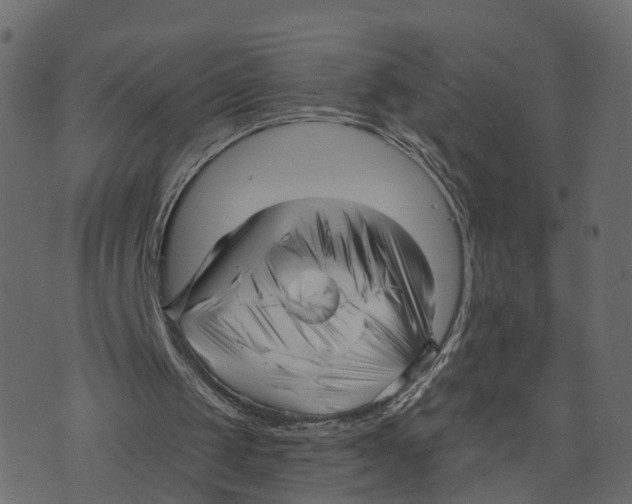 X0000073540049200608281627