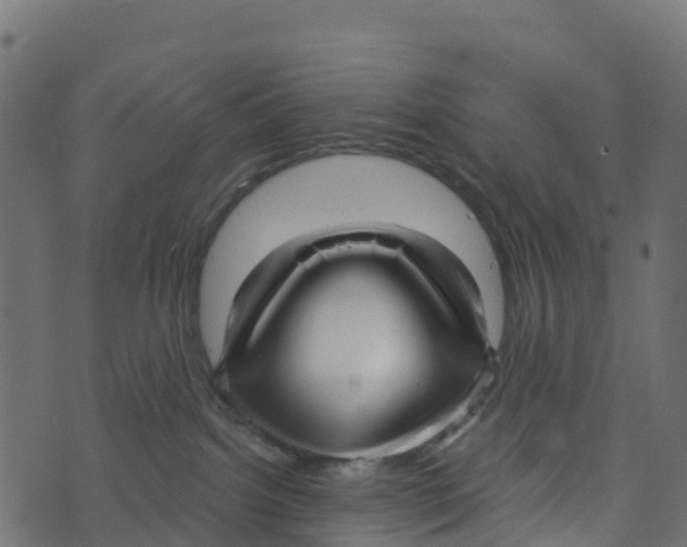 X0000073540092200608281628