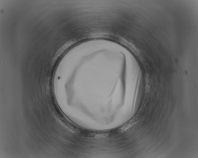 X0000073540155200608281625
