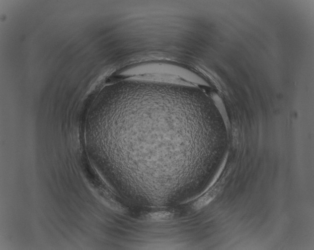 X0000073540158200608281625