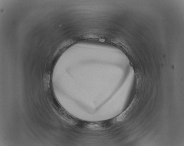 X0000073540171200608281626