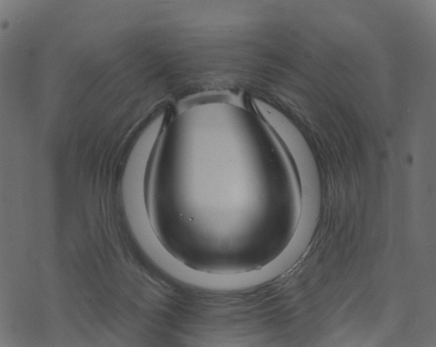 X0000073540172200608281626