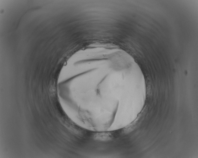 X0000073540179200608281626