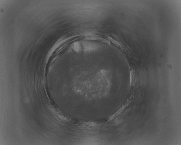 X0000073540195200608281625