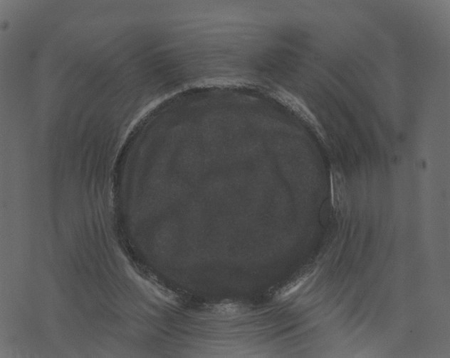 X0000073540204200608281625