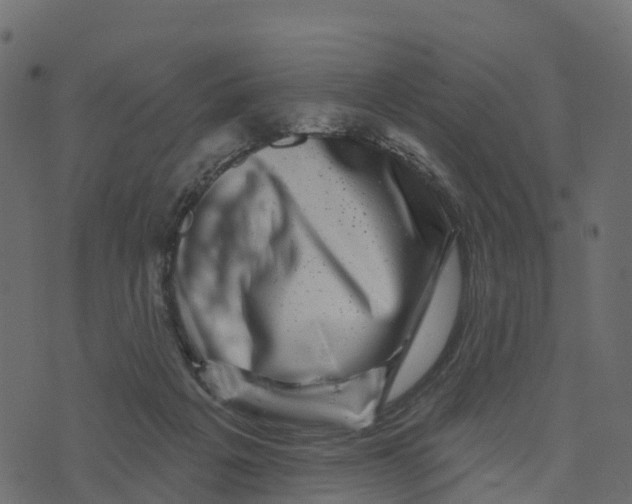 X0000073540217200608281625