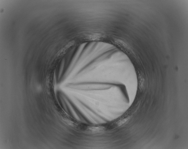 X0000073540221200608281625