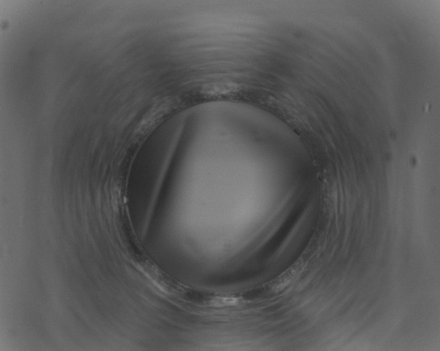 X0000073540227200608281625