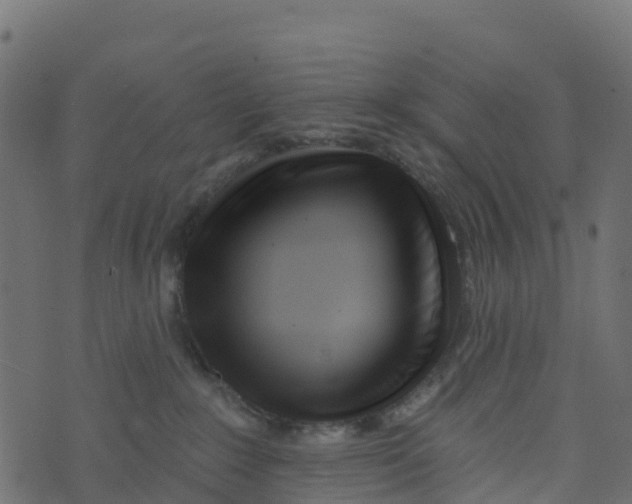 X0000073540235200608281624