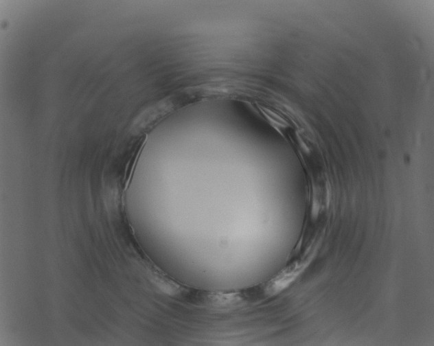 X0000073540333200608281623