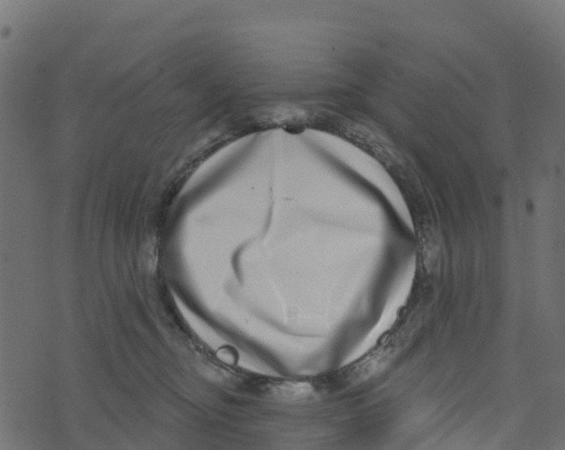 X0000073540374200608281623