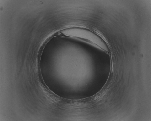 X0000073540387200608281622