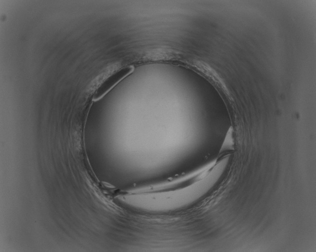 X0000073540393200608281622