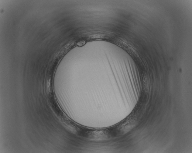 X0000073540406200608281622