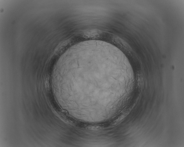 X0000073540408200608281622