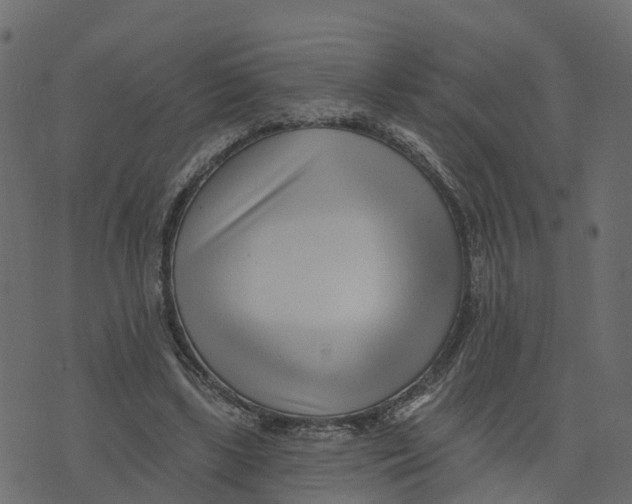 X0000073540443200608281621