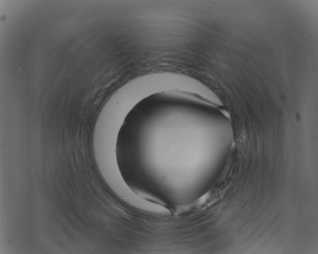 X0000073540566200608281619