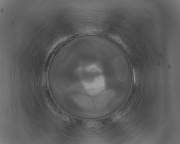 X0000073540579200608281619
