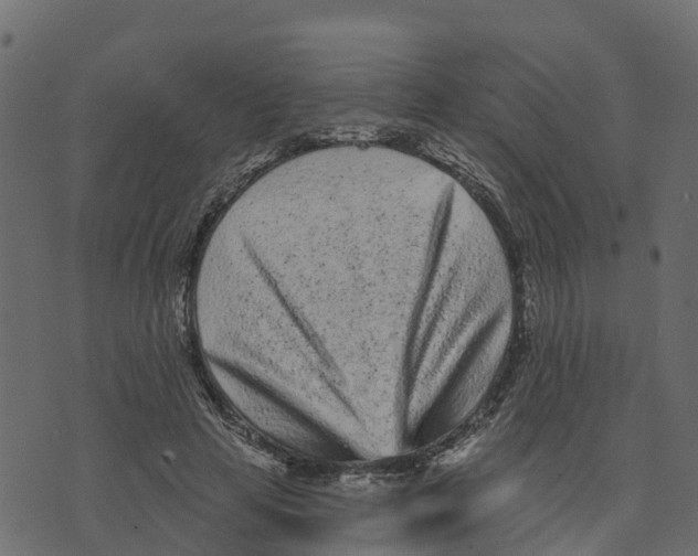 X0000073540641200608281618