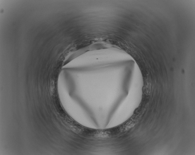X0000073540656200608281618