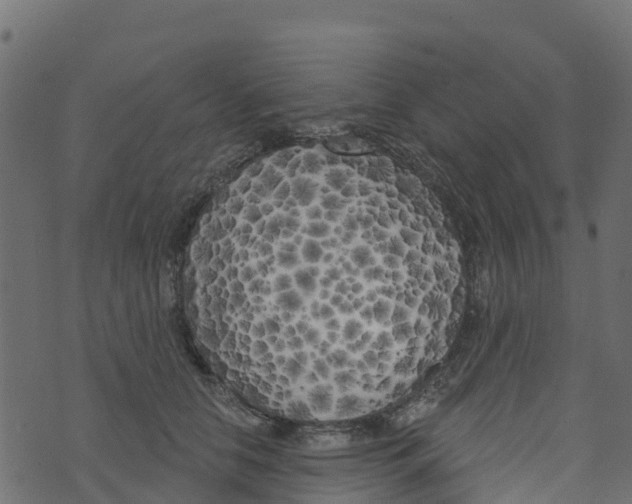 X0000073540658200608281618