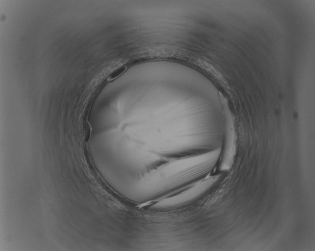 X0000073540673200608281617